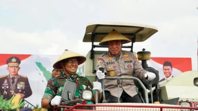 Pendataan dan Distribusi Diperkuat Polri, Produksi Jagung Nasional Naik Drastis