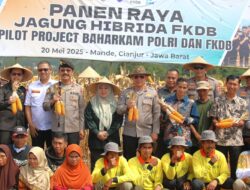 Kadis Pertanian Cianjur: ‘Ini Akan Jadi Legacy!’ Panen Jagung 11,5 Ton/Hektar Jadi Contoh Kolaborasi Hulu-Hilir