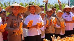 WhatsApp Image 2025-07-24 at 12.29.06_e56e84e1