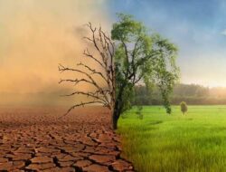 Pentingnya Penyusunan Second NDC secara Partisipatif & Inklusif