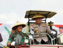 Pendataan dan Distribusi Diperkuat Polri, Produksi Jagung Nasional Naik Drastis