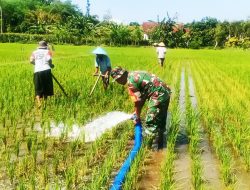 Ekspansi Kodam hingga Batalyon Pertanian, Pengamat: Indonesia Masuk Era “Sekuritisasi” Baru