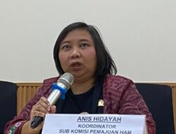 Komnas HAM Soroti Dugaan Pelanggaran HAM dalam Operasi TPNPB-OPM di Kabupaten Puncak Papua